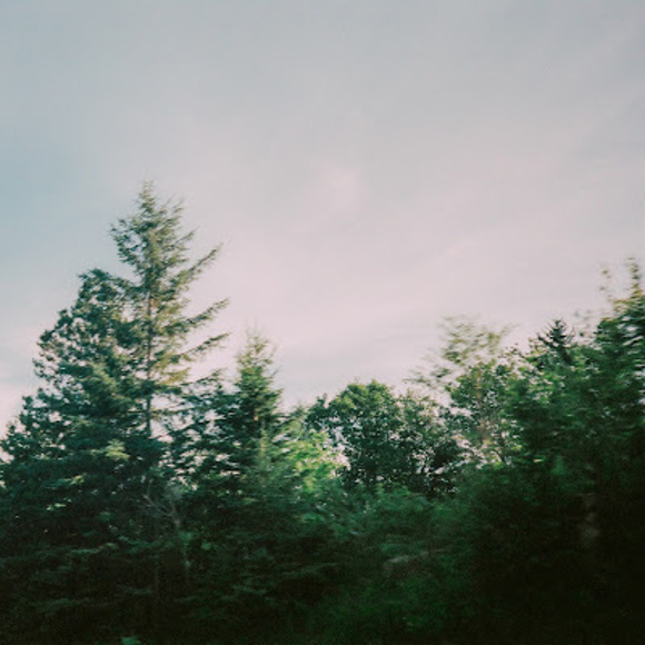 Meet your Posher, Frank - Picture 1 of 1